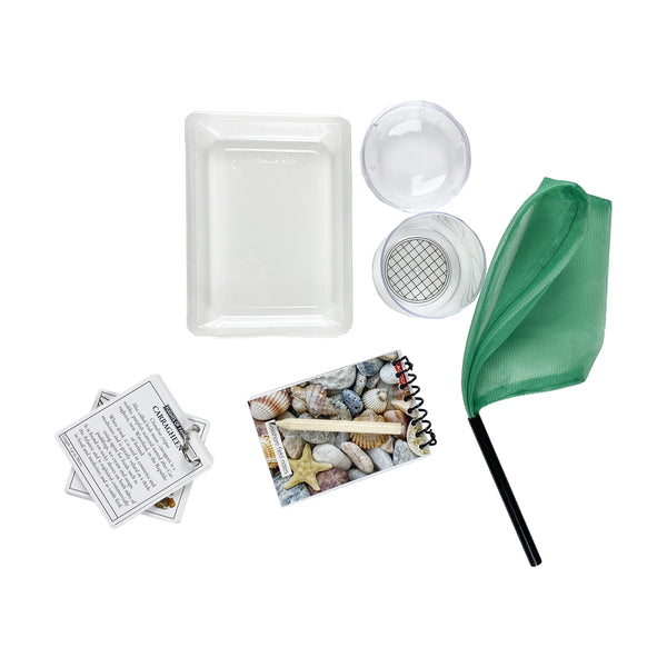 Flights of Fancy About The Seashore Kit