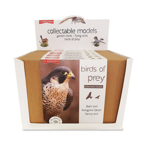 Collectable Bird Models Display